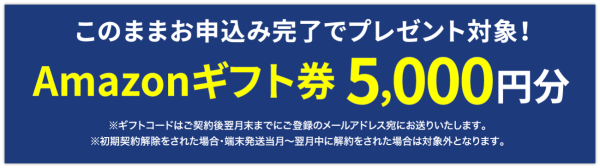 カシモWiMAX Amazonギフト券5000円のフォーム